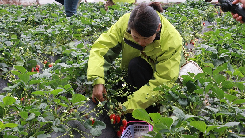 醒春時(shí)光，共赴“莓”好|青島中新華美塑料有限公司女神節(jié)活動(dòng)圓滿舉行