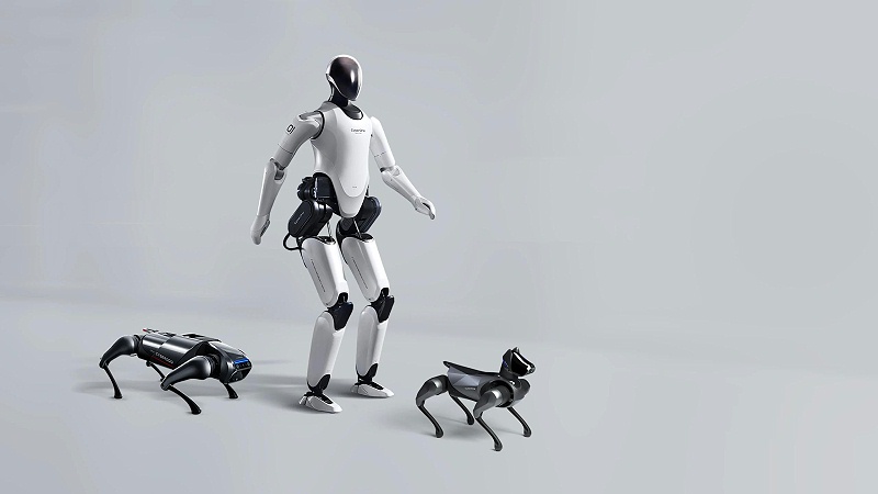 人形機(jī)器人