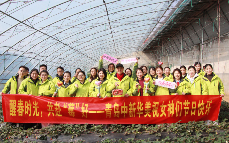 改性塑料廠小伙伴摘草莓