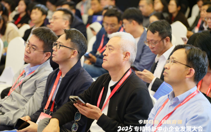 極目新聞：青島中新華美受邀參加2025專精特新中小企業(yè)發(fā)展大會