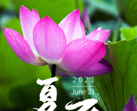 今日夏至|半夏木槿，萬(wàn)物勃發(fā)，長(zhǎng)日滿滿，青島中新華美遙祝夏安