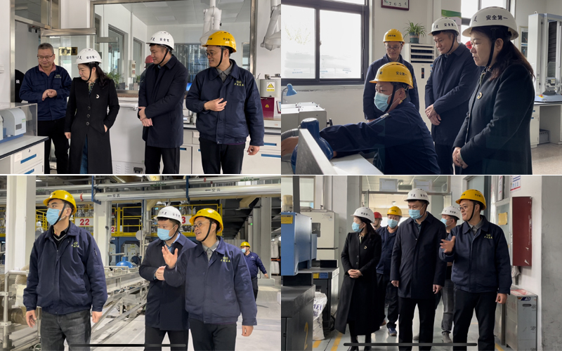 專家組參觀公司的研發(fā)技術(shù)中心、自動化生產(chǎn)線