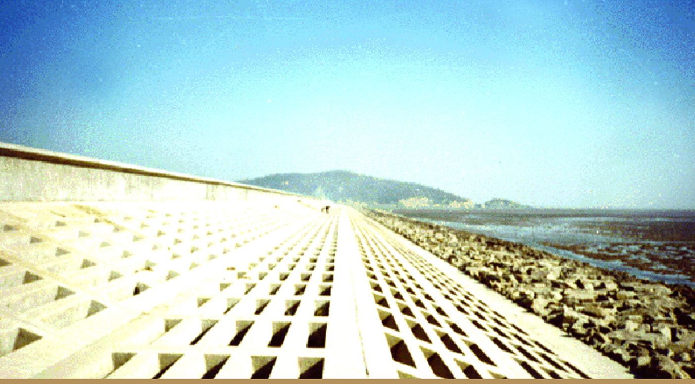 臺州發(fā)電廠六號灰?guī)旎覊喂こ?/>
					      <p><a href=